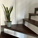 A Casa Di Cico Apartment