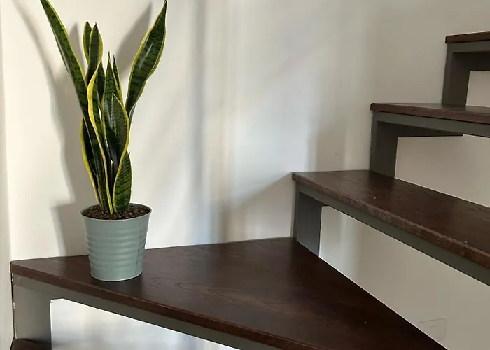 A Casa Di Cico Apartment